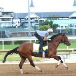 2026 Preakness Stakes Field Taking Shape, Derby Winner Golden Tempo Possible